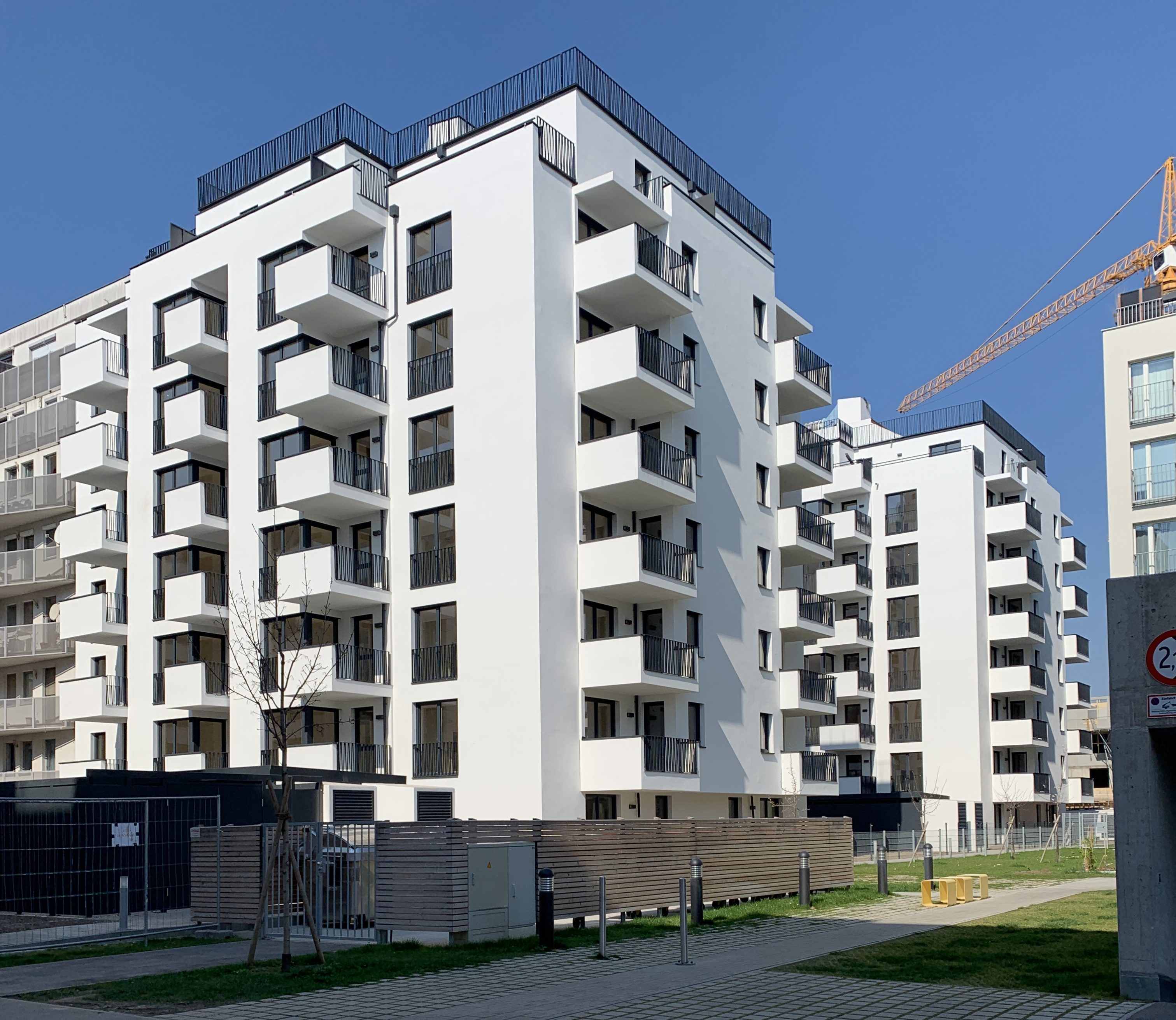 1629481253-wenn-die-kirschen-bluhen