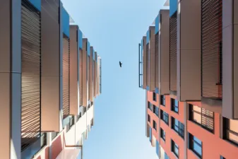 1748953904-attems_web-23