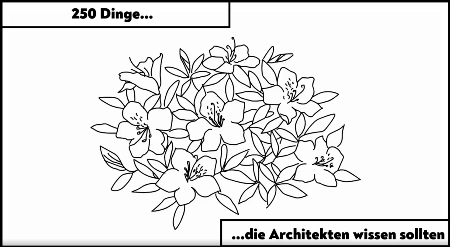 1739521335-screenshot-2025-02-14-092207